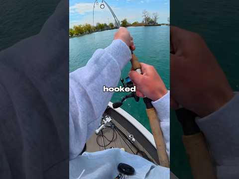 I Hooked a GIANT 🐟🎣