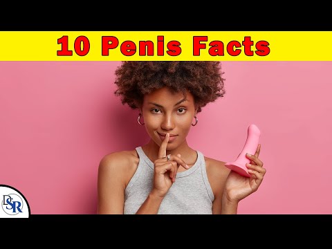 10 Fascinating 𝗙𝗮𝗰𝘁𝘀 𝗔𝗯𝗼𝘂𝘁 𝗧𝗵𝗲 𝗣𝗲𝗻𝗶𝘀 You Did NOT Know