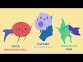 Understanding Skin Healing