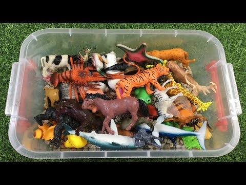 Aprende los Animales con juguetes para niños - Sonidos de animales y nombres en ingles
