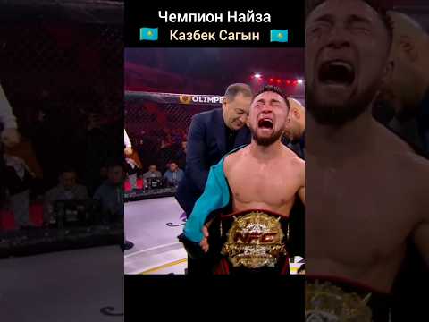Чемпион Найза