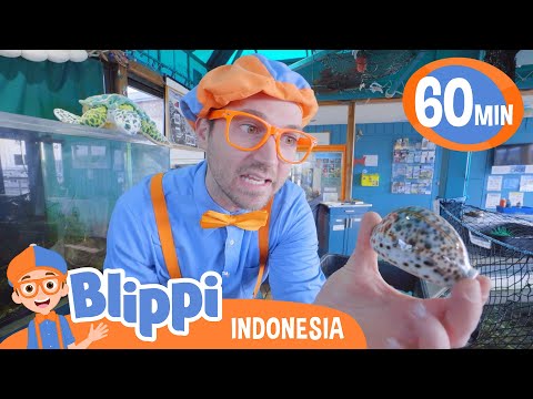 Blippi menemukan makhluk laut 🦀 | Blippi Bahasa Indonesia - Video Anak-Anak | Petualangan Blippi