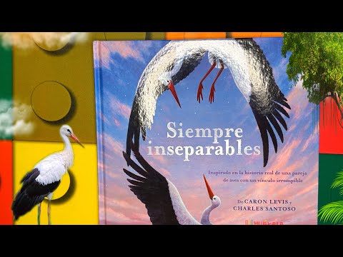 Cuentos infantiles en español; Siempre inseparables libro infantil en español