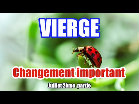 VIERGE JUILLET 2025 : Des changements importants !