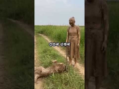 허스키에게 산책가자고 하면   ㅋ