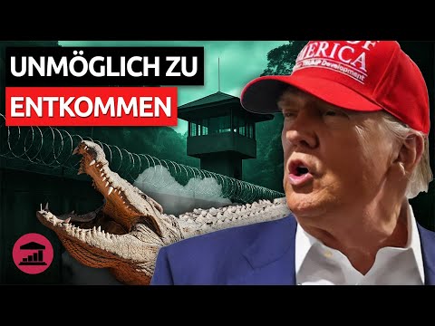 Trumps neuer PLAN, die USA von „illegalen Einwanderern" zu befreien | @VisualPolitikDE