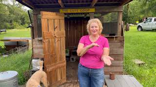 3 Reasons I Love Keeping Backyard Chickens