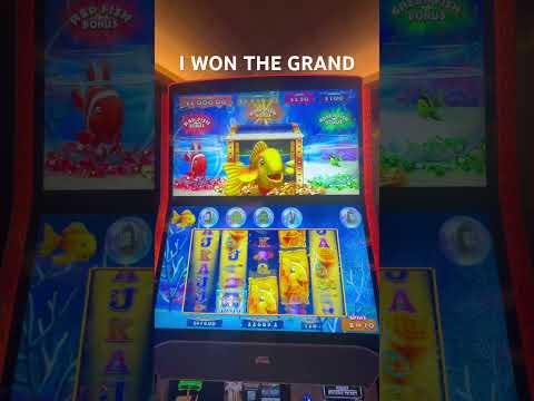 I won the GRAND !