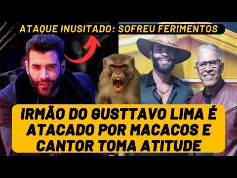 Irmão de Gusttavo Lima é AT4CADO por MAC4COS e cena INUSITADA leva o EMBAIXADOR a tomar ATITUDE