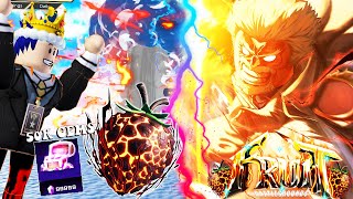 Roblox - CHI 50K GEMS SĂN TRÁI ÁC QUỶ MỚI IMPACT CỰC HIẾM 0.03% CỦA GARP + CODE -Fruit Battlegrounds