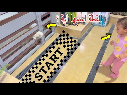 بيبي اصالة لما شافت القطة عملت اية - واسم القطة غريب جدا ؟