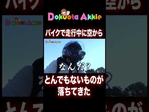 バイク走行中落ちてきたものがヤバすぎて泣く女 #ツーリング