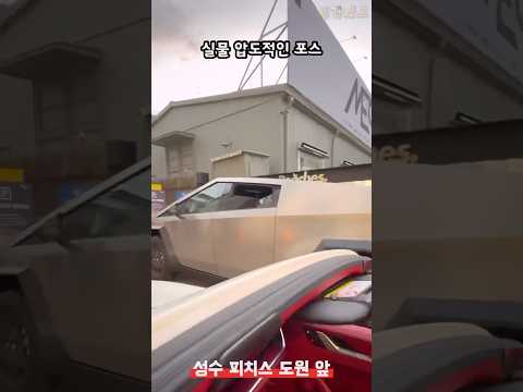 시선 강탈 자동차 인플루언서 - 사이버트럭 한국 번호판