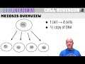 Exploring Cell Division Concepts