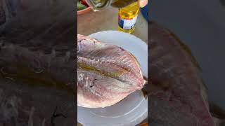 اجواء بحر موسم سمكة 🐟 (الشلبة ) ليبيا 🇱🇾 .