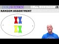 Exploring Cell Division Concepts