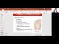 Medical Terminology and Anatomy Concepts
