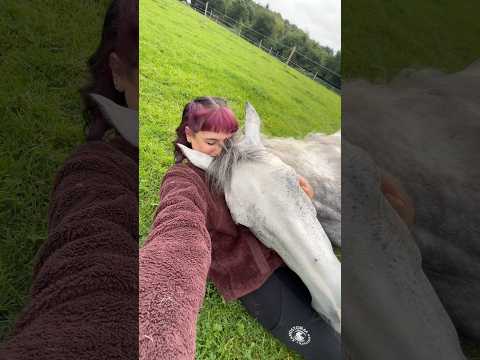 The bond between horses and humans 🥰🐴#foryou #animals #tiktok #love #horse