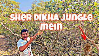 Sher dikha jungle mein || Adventure video || #adventure #vlog #jungle