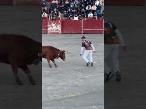 “Juaquin Cortes” Demostrando quien es el rey de la calle en la Vall d’Uixo 2024