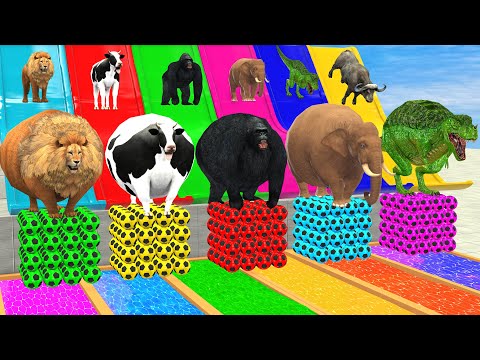 Long Slide Game With Elephant Gorilla Buffalo Hippopotamus Tiger 3d Animal Game Funny 3d Animals