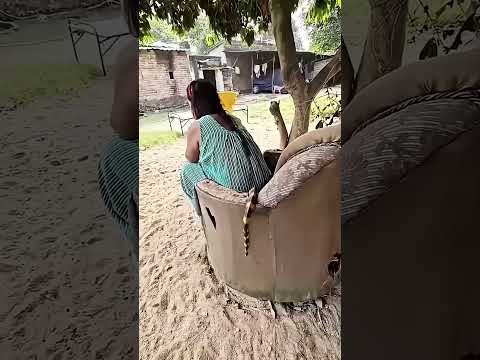 A vovó não viu a cobra !  #comedy #funny #humor #shortvideo