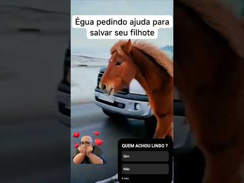 Lindo Video. #motivational #livramento #jesus #deus #shorts #viral #oração #amém