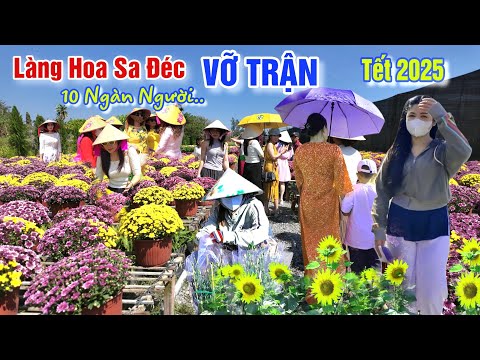 VỠ TRẬN CHỢ HOA TẾT 2025: HÀNG 1000 NGƯỜI ĐỔ VỀ LÀNG HOA SA ĐÉC MUA HOA GIÁ RẺ