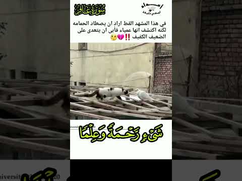 ربنا وسعت كل شيء رحمة عبد الباسط عبد الصمد