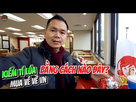 Tò Mò Cách DTH KIẾM LÚA ở Mỹ mua Vé Máy Bay về lại Việt Nam?