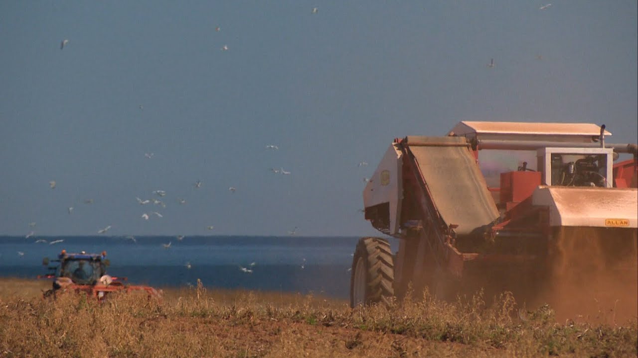 ‘Abnormally dry’ conditions has farmers in Atlantic Canada concerned