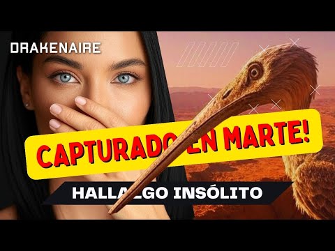 ¡Se ha capturado en Marte algo INSÓLITO!