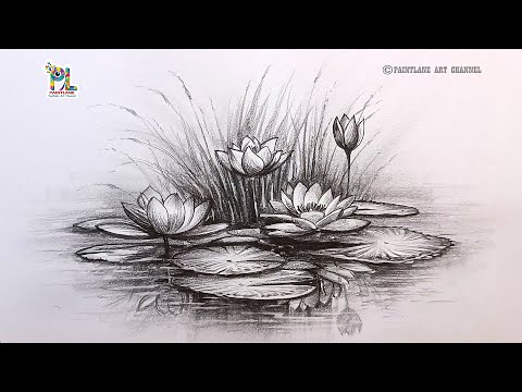 How to draw Lotus with leaves and grass in Water by Pencil