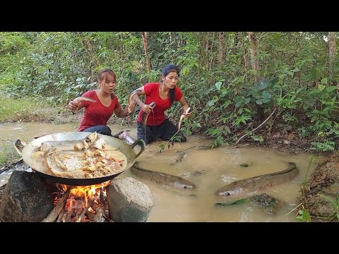 Survival in forest, Catch fish in the rainforest for survival food, Fish hot spicy curry for lunch