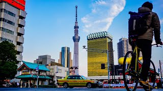 Chill Day in Tokyo