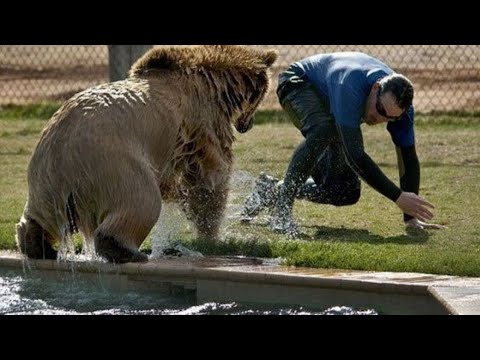 Os 30 encontros com animais mais assustadores do ano!