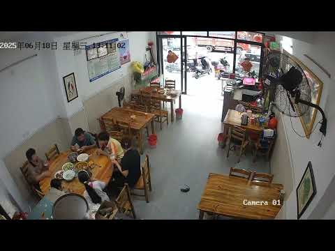 Cat brings rat into diner during meal in Guangdong, China