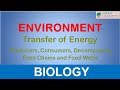 Energy Flow in Ecosystems
