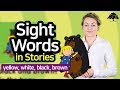 Sight Words and Reading Exercises