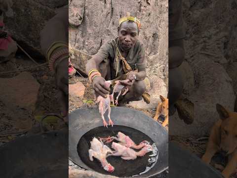“Survival through tradition: Hadzabe Oldman enjoy cooking meal, part of their ancient hunter#africa