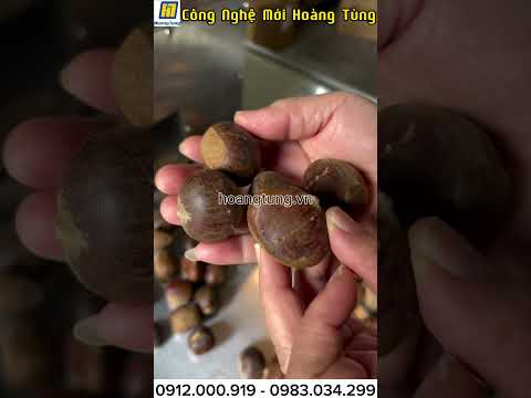 Máy Khứa Hạt Dẻ