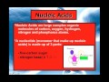 Exploring Nucleic Acids and Macromolecules