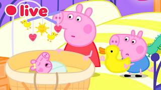 🔴 LIVE: Cutest Baby Evie Moments 🍼 | Peppa Pig’s Best Big Sister Moments ✨ | 4K
