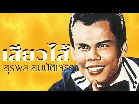 เสียวไส้  –  สุรพล สมบัติเจริญ(OfficialMV&Karaoke)