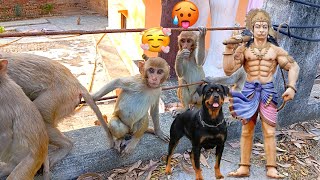 Monkey and Dog: A Party Animal Story 🤣😆🐒🍒
