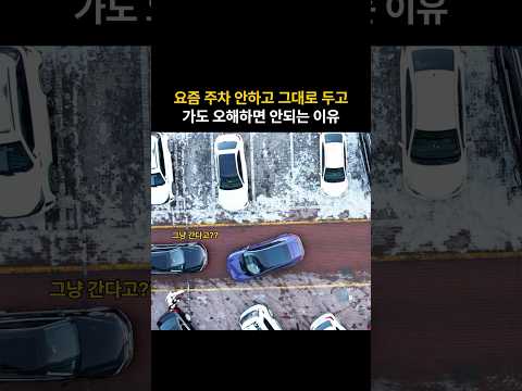 앞으로 놀라울 일들이 많겠네 ㄷㄷ #주차 #car