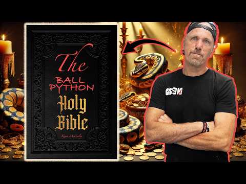 THE Ball Python Bible