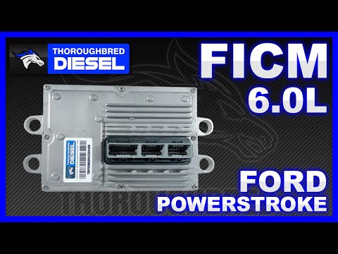 ALL NEW Thoroughbred Diesel's Ford Powerstroke 6.0L FCIM #forddiesel #diesel #powerstroke