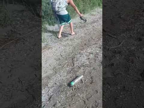 На городском пляже Каракола нашествие насекомых
