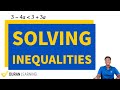 Mastering Inequalities and Their Solutions